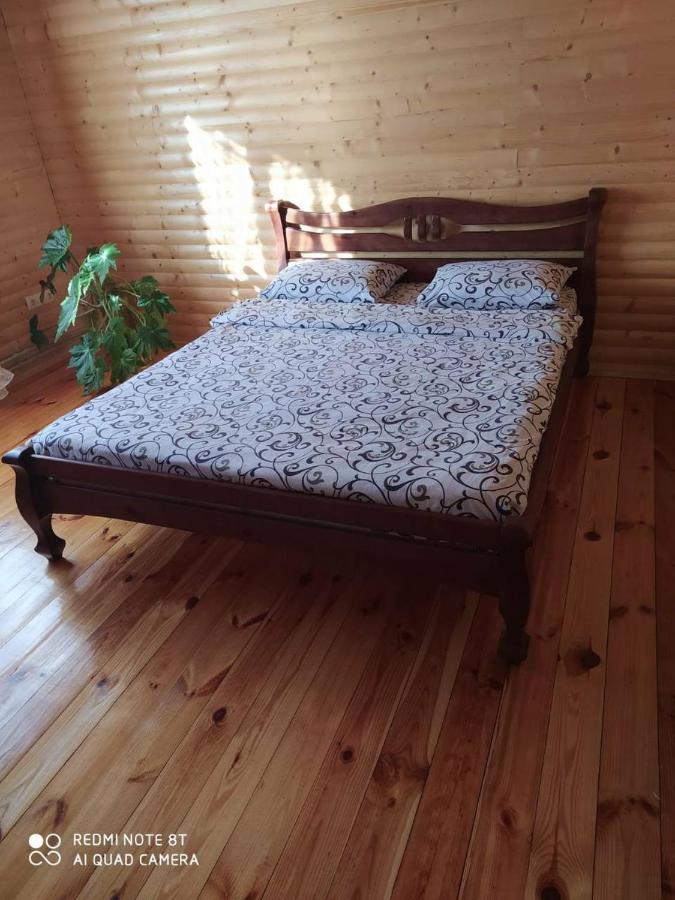 Villa Карпатські Зорі Pilipets Exterior foto